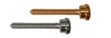 Hip Screw with Compression Screw Dia - 12.5mm