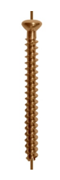 Small Cannulated Screw