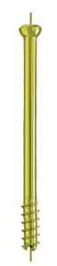 Cannulated Cancellous Screw