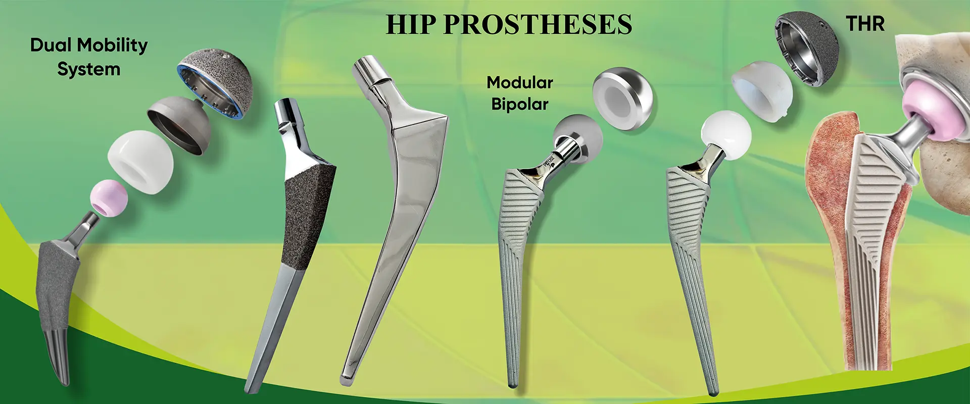 Ortho Care Manufacturer in Delhi