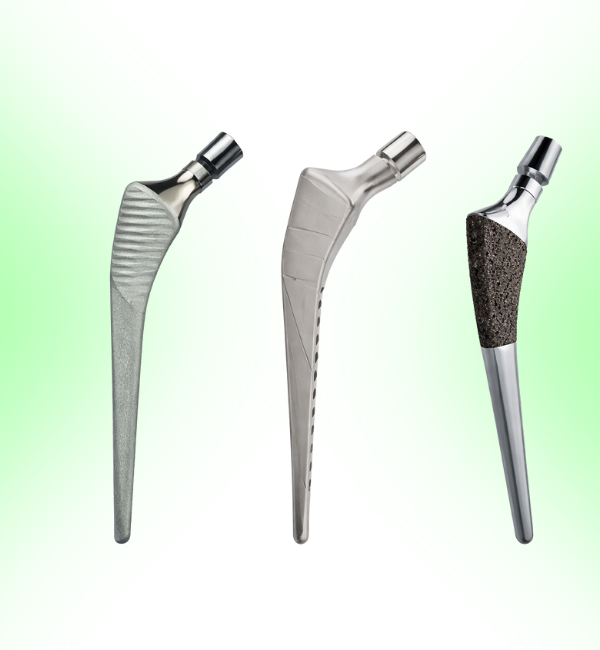 Hip Prosthesis Implant